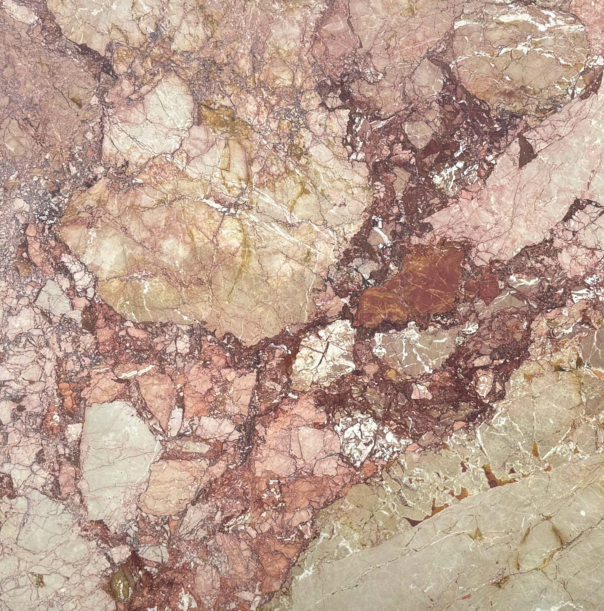 Breccia Pernice