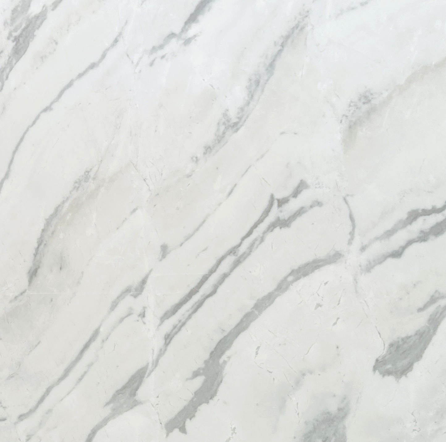 Calacatta Bianco