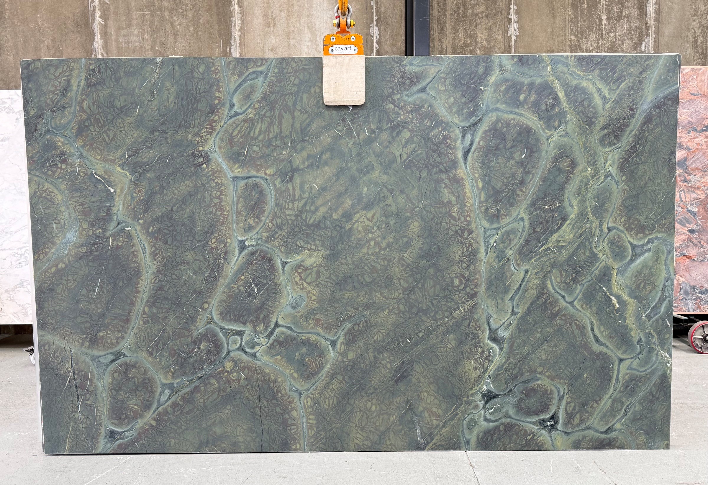 Vitoria Regia B55164 3200×1980 Slab #5