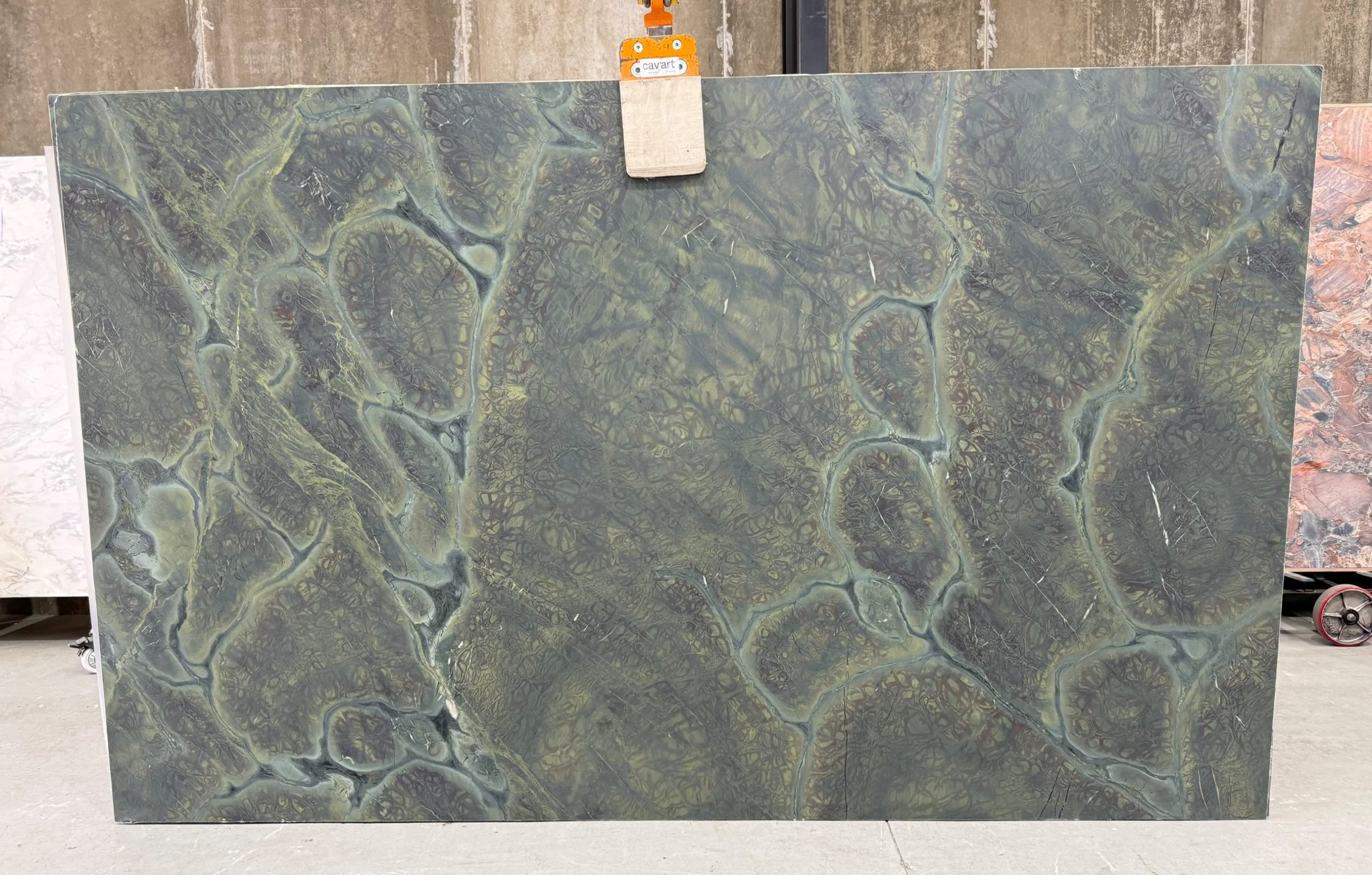 Vitoria Regia B55164 3200×1980 Slab #8